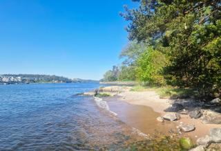 Skogshem & Wijk - Lidingö - 6