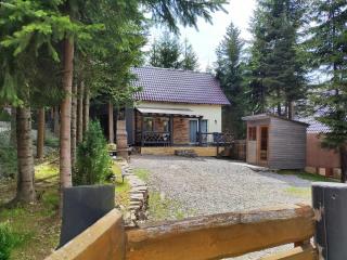 Woodland house - Sîntimbru-Băi - 0