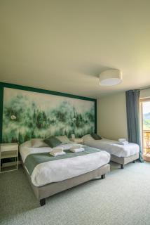 Hotel Le Bois Joli - Bernex - 4