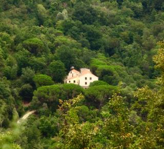 Le Petit Chateau - 8