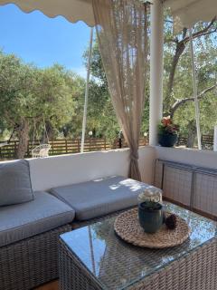 Dream house Villa - Alyki - 9