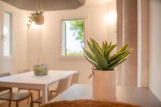 Barchessa Cappelletto - 1