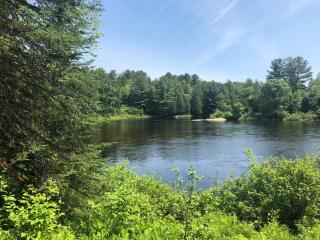 Hôtel UNIQ - Forêt Ô Cascades - 7