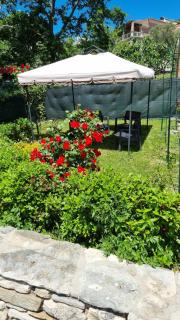L'angolo fiorito - Castelpetroso - 6