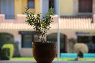 Appartamento Le Vele2 - 8