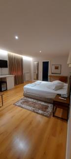 Hotel SHahini - Shijak - 1