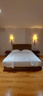 Hotel SHahini - Shijak - 4