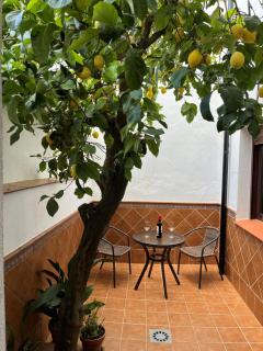 Casa Arao - Grazalema - 9