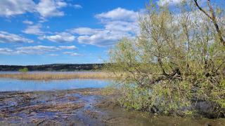 Mysig stuga i Svärtinge - Svärtinge - 8