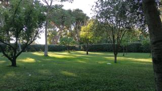 Casa vacanze La Palma - Alghero - 9