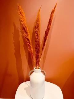 Le Terra Rossa - Home Homy - Carhaix-Plouguer - 3