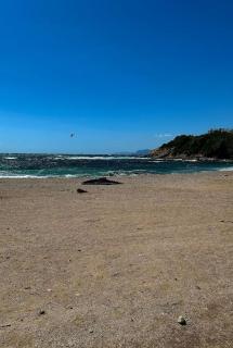 Appartement en face mer - 4