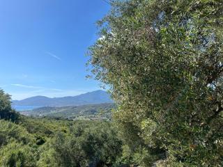 Casa vacanze Alfano - Ascea - 7