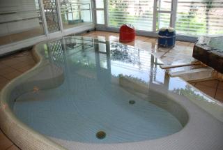 Sakaya Ryokan Yoshina Onsen - Izu - 2