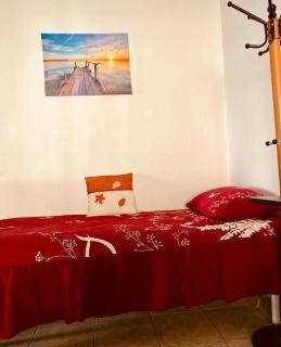 Apartment - Tirana - 1