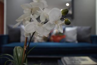 2BR apartment, at the heart of Mexico City - Città del Messico - 3