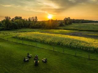 La Campagnarde - Spa et Plein-Air - 6