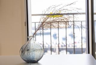 Torrontero con vistas al mar - 3