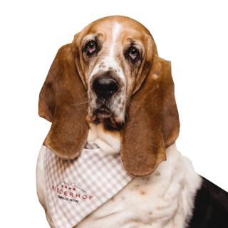 Hotel Riederhof- Urlaub mit WAU! - 3