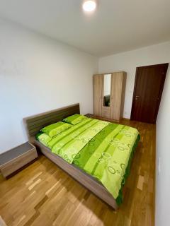 Cozy 1 bedroom APT with free parking - Podgorica - 4
