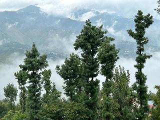 Mountain View Cottage Bhurban - Murree - 9