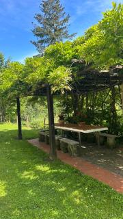 Cascina Ciosse B&B - Grognardo - 6