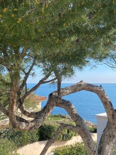 Cap d Antibes Villa contemporaine pied dans l eau - Antibes - 4