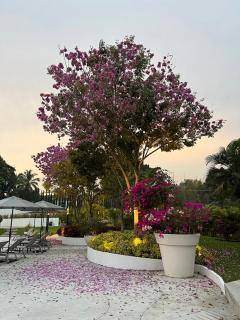 Xhiara Hotel - Xochitepec - 2