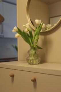 Apartman Borik-Lilly - Banja Luka - 7