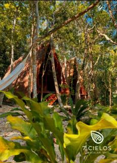 7 CIELOS BACALAR. - Bacalar - 7