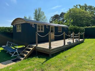 Luxury Shepherd's Hut - East Sussex - - 0