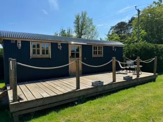 Luxury Shepherd's Hut - East Sussex - - 9