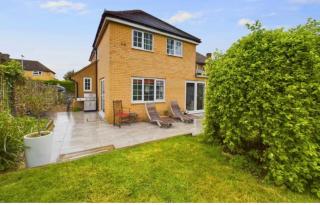 relaxed and peaceful - 2