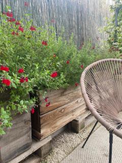 Maison Plume en Provence - 1