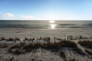 Holiday House A by Pristine Properties Vacation Rentals - Mexico Beach - 8