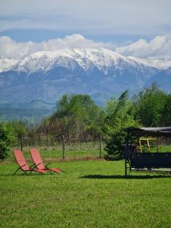 Căsuțe în mijlocul naturii - Wild Camp Avrig - 1
