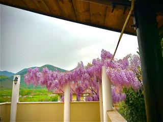 Relais 5 Sensi WELLNESS & SPA - Bagnoli Irpino - 7