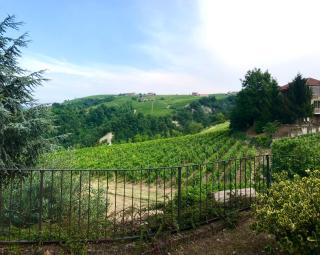 Casa nelle Langhe - Castiglione Tinella - 6