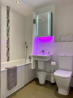 Old Mill Apartment - Berkhamsted - 2