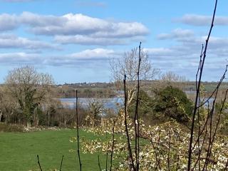 Lough Carra House - Room only with Kitchenette - Partry - 5