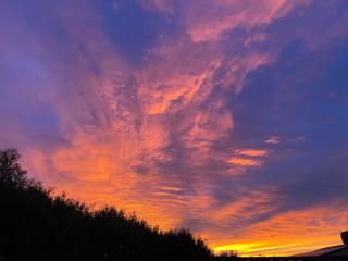 Salty Sage Beach House - Torquay - 3