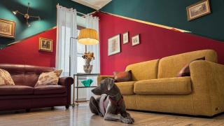 Residenza SanMartino di WellHome - Asti - 5