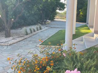 Casa Posidonia - Korinthos - 0