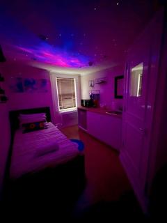 Lovely Studio room in the heart of Fulham/Chelsea - London - 3