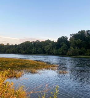 Luxury Riverfront Tiny House- AMAZING VIEWS- #111 - Strawberry Plains - 5