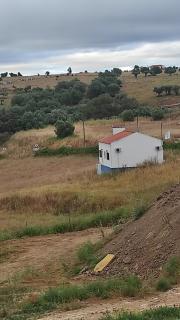 Nova Quinta Moderna TORRAMO em Oliveiras, Campo de Laranjas, na Nacional 2, Alentejo 13750 m2 - Torrão - 6