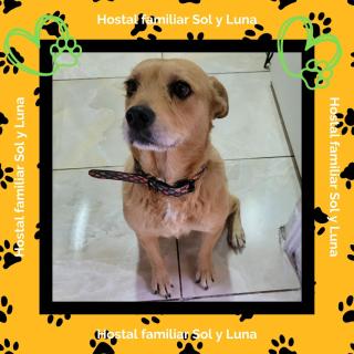 Hostal Sol y Luna - Descanso a 10 min del aeropuerto & Desayuno Incluido - 6