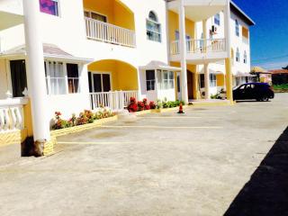 The Palm - 4
