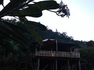 Forest Guesthouse - Samoeng - 9