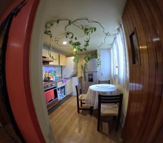 Neighbor of Frida Khalo, vintage stay in Coyoacán - Città del Messico - 5